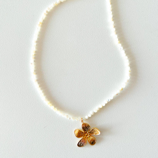 COLLIER CANDICE