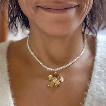 COLLIER CANDICE
